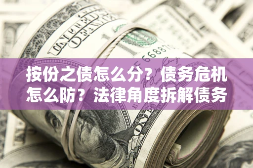 武汉按份之债怎么分？债务危机怎么防？法律角度拆解债务分配与风险自保指南