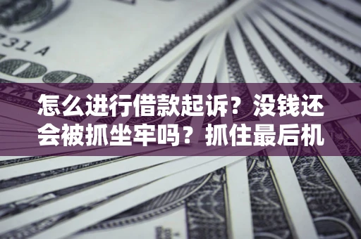武汉怎么进行借款起诉？没钱还会被抓坐牢吗？抓住最后机会！