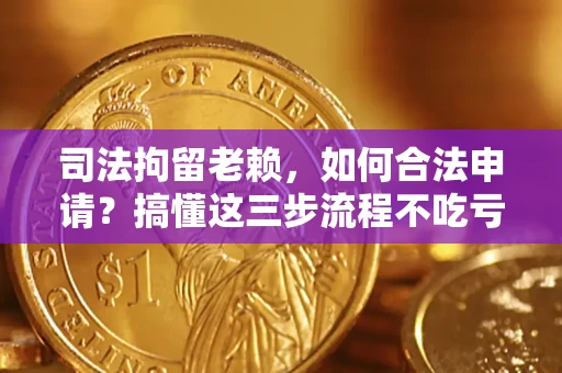 武汉司法拘留老赖，如何合法申请？搞懂这三步流程不吃亏！