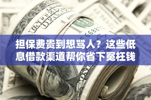 武汉担保费贵到想骂人？这些低息借款渠道帮你省下冤枉钱
