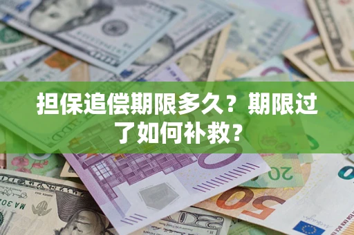 武汉担保追偿期限多久？期限过了如何补救？