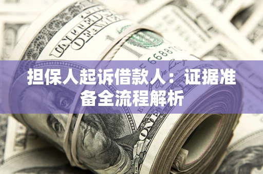 武汉担保人起诉借款人：证据准备全流程解析