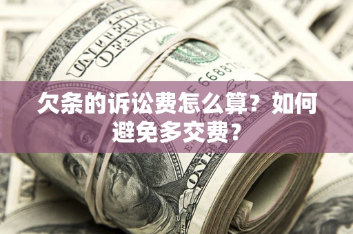 武汉欠条的诉讼费怎么算？如何避免多交费？