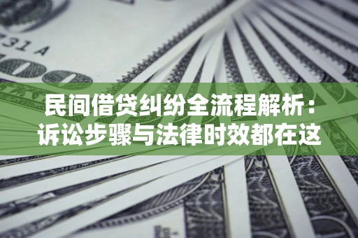 武汉民间借贷纠纷全流程解析：诉讼步骤与法律时效都在这儿了