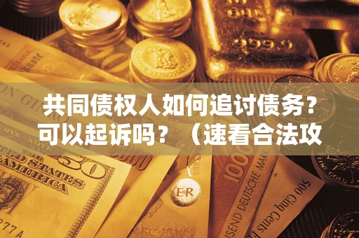 武汉共同债权人如何追讨债务？可以起诉吗？（速看合法攻略）