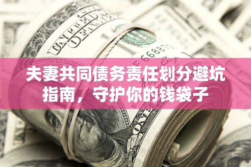 武汉夫妻共同债务责任划分避坑指南，守护你的钱袋子