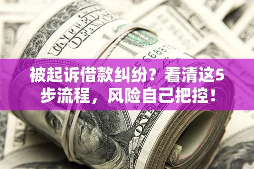 武汉被起诉借款纠纷？看清这5步流程，风险自己把控！