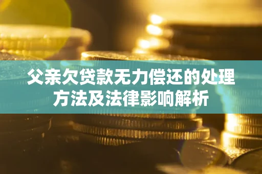 武汉父亲欠贷款无力偿还的处理方法及法律影响解析
