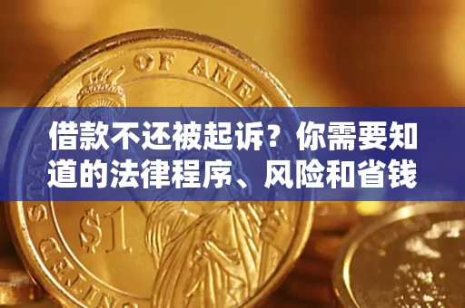 武汉借款不还被起诉？你需要知道的法律程序、风险和省钱技巧