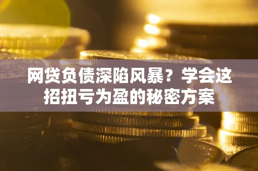 武汉网贷负债深陷风暴？学会这招扭亏为盈的秘密方案