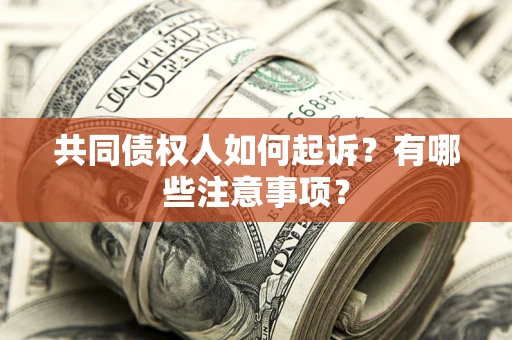 武汉共同债权人如何起诉？有哪些注意事项？